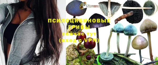 ALPHA-PVP Саяногорск