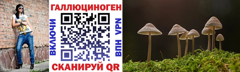 Псилоцибиновые грибы мицелий  Озёры 
